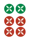 Dot 6