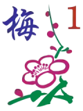 Plum Blossom