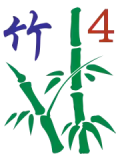 Bamboo